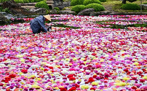自治体の魅力イメージ